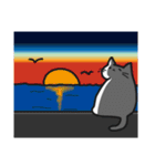 しろいねこスタンプ（個別スタンプ：34）