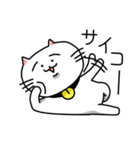 きもねこ in 岐阜（個別スタンプ：1）
