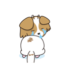 看板犬・パピヨンのあかね（個別スタンプ：10）