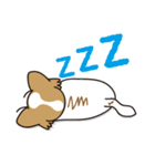 看板犬・パピヨンのあかね（個別スタンプ：15）
