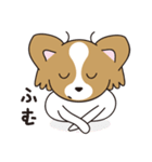 看板犬・パピヨンのあかね（個別スタンプ：21）