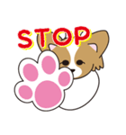 看板犬・パピヨンのあかね（個別スタンプ：22）