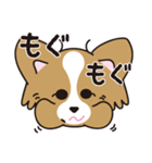 看板犬・パピヨンのあかね（個別スタンプ：23）