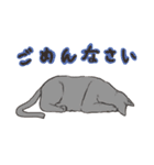 DogCatetc（個別スタンプ：13）