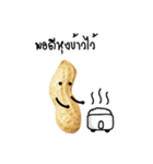 Peanut funny.（個別スタンプ：1）