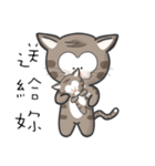 Mr Grey Little Cat 3 with TC（個別スタンプ：2）