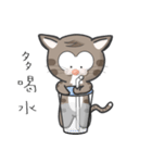 Mr Grey Little Cat 3 with TC（個別スタンプ：9）