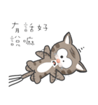 Mr Grey Little Cat 3 with TC（個別スタンプ：13）