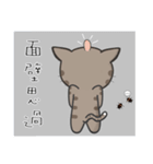Mr Grey Little Cat 3 with TC（個別スタンプ：14）