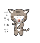 Mr Grey Little Cat 3 with TC（個別スタンプ：17）