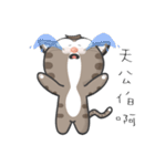 Mr Grey Little Cat 3 with TC（個別スタンプ：29）
