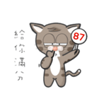 Mr Grey Little Cat 3 with TC（個別スタンプ：37）
