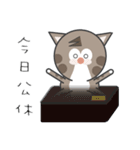Mr Grey Little Cat 3 with TC（個別スタンプ：40）