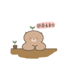 Sensen Bear（個別スタンプ：9）