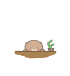 Sensen Bear（個別スタンプ：28）