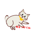 シンプル挨拶ニャン（個別スタンプ：20）