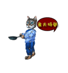 so cute doll cat chapter daily（個別スタンプ：5）