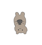 不思議な動物たち 1（個別スタンプ：19）