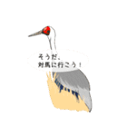 そうだ、対馬に行こう！～野鳥スタンプ～（個別スタンプ：1）