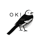 そうだ、対馬に行こう！～野鳥スタンプ～（個別スタンプ：11）