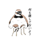 そうだ、対馬に行こう！～野鳥スタンプ～（個別スタンプ：18）