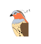 そうだ、対馬に行こう！～野鳥スタンプ～（個別スタンプ：19）