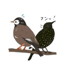 そうだ、対馬に行こう！～野鳥スタンプ～（個別スタンプ：23）