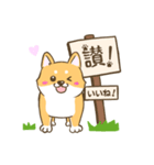 【台湾語＆日本語】看板犬（個別スタンプ：2）