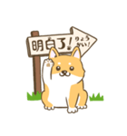 【台湾語＆日本語】看板犬（個別スタンプ：3）