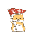 【台湾語＆日本語】看板犬（個別スタンプ：15）