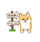 【台湾語＆日本語】看板犬（個別スタンプ：34）