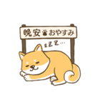 【台湾語＆日本語】看板犬（個別スタンプ：40）