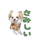 チロくんのデカ文字日常会話（個別スタンプ：22）