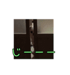 チロくんのデカ文字日常会話（個別スタンプ：26）