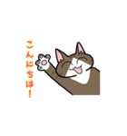 まる+胡桃+すず（個別スタンプ：6）