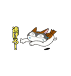 まる+胡桃+すず（個別スタンプ：31）