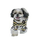うちのげんさん2（個別スタンプ：11）
