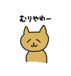 めっちゃねこ（個別スタンプ：23）