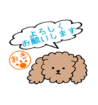 プードル沖さんの日常 パート2（個別スタンプ：3）