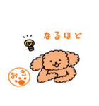 プードル沖さんの日常 パート2（個別スタンプ：11）