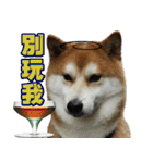 Shibainu go go go（個別スタンプ：36）
