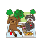 トイプーときどきシュナ〜春夏のお出かけ編（個別スタンプ：30）
