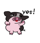 black piggy DADA（個別スタンプ：4）