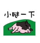 black piggy DADA（個別スタンプ：7）