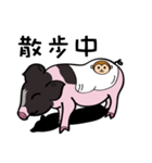 black piggy DADA（個別スタンプ：16）