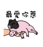 black piggy DADA（個別スタンプ：17）