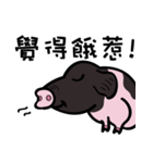 black piggy DADA（個別スタンプ：26）
