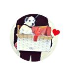 Lazy Days with Moneypenny The Dog（個別スタンプ：10）