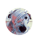 Lazy Days with Moneypenny The Dog（個別スタンプ：15）