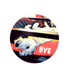 Lazy Days with Moneypenny The Dog（個別スタンプ：16）